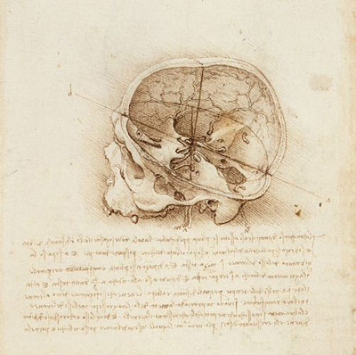 Skull Skull