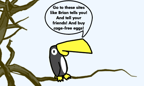 Toucan
