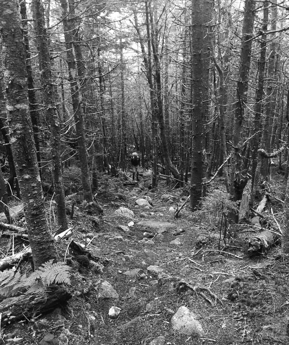 Hiking up toward Mt Tom